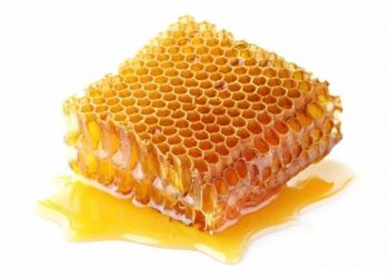 تولید عسل پروبیوتیک