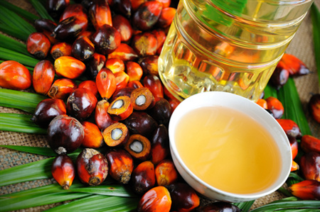 واردات روغن پالم واردات روغن پالم