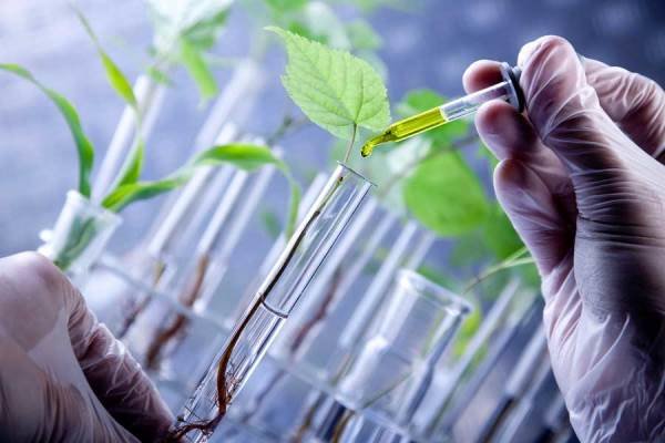 فرآیند تصفیه پساب زیستی – زیست فناوری فرآیند تصفیه پساب زیستی – زیست فناوری