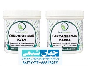 کاراگینان کاراگینان