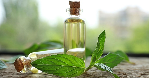 کاربرد اسانس ها کاربرد اسانس ها