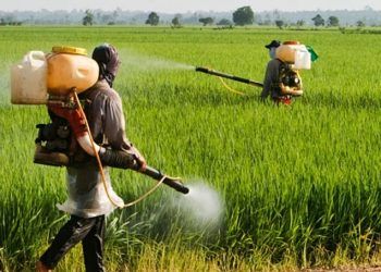 محافظت از محصولات کشاورزی از آفات