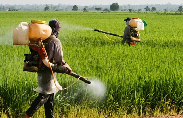 محافظت از محصولات کشاورزی از آفات