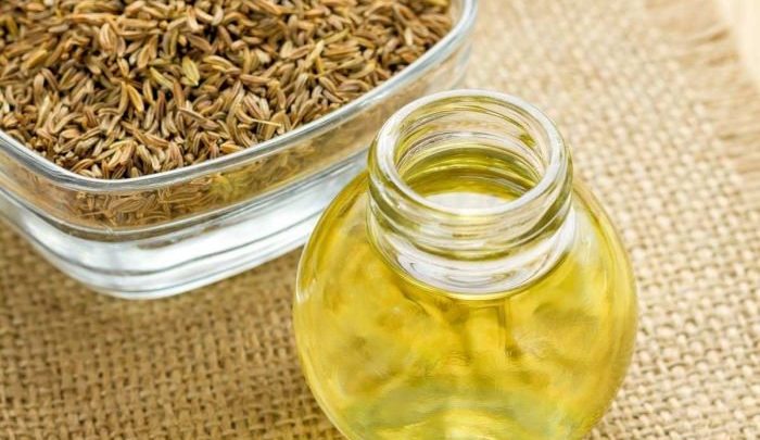 اسانس گیری زیره سبز اسانس گیری زیره سبز