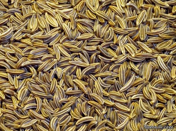بوجاری زیره سبز بوجاری زیره سبز