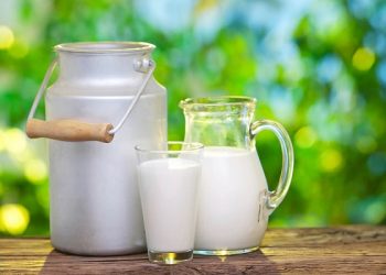 تفاوت ترکیبات شیر گاو و شیر انسان