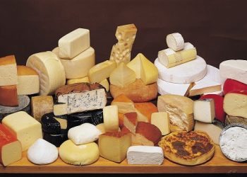 باکتریهای اسید لاکتیک غیراستارتری در پنیر سازی