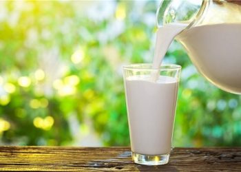 فرآیند تولید دوغ چگونه است؟