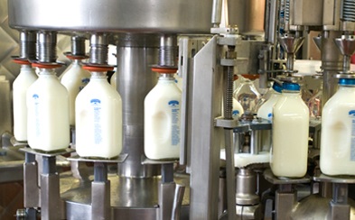 روش های مختلف پاستوریزه کردن شیر