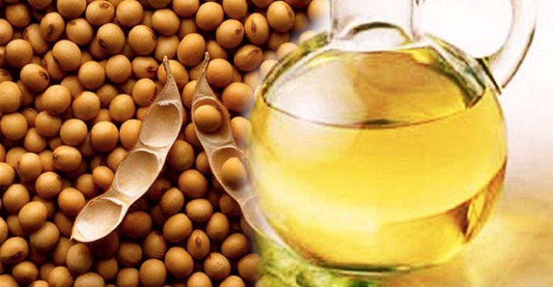 روغن دانه سویا روغن دانه سویا