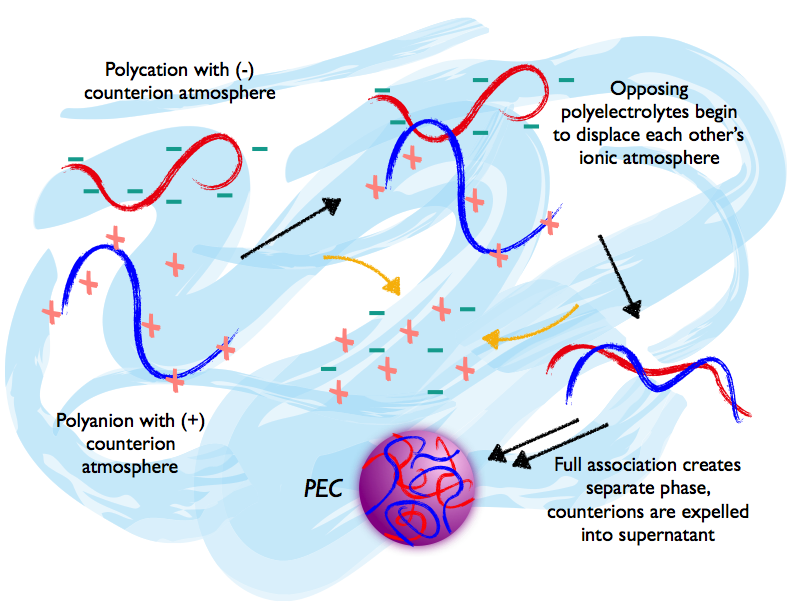 پلی الکترولیت کاتیونی و آنیونی