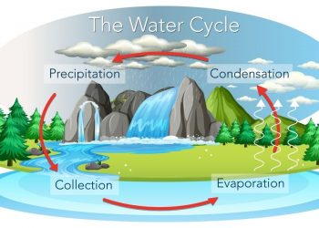 چرخه آب چیست و از اهمیت آن برای حیات چه می دانید؟