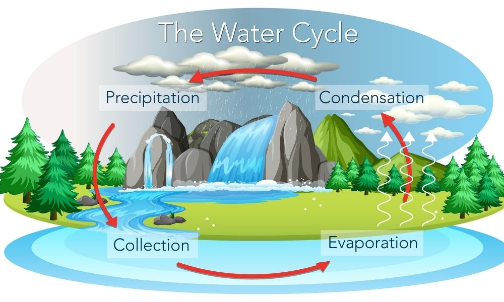 چرخه آب چیست و از اهمیت آن برای حیات چه می دانید؟